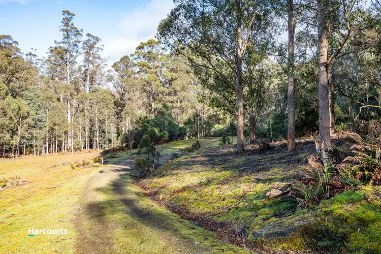 Third view of Homely land listing, 115 Clarks Road, Lower Longley TAS 7109