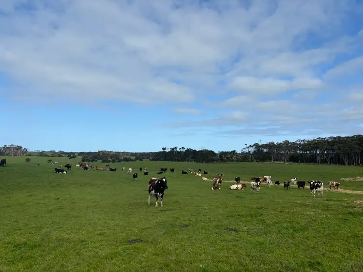 Main view of Homely rural property listing, 678 Pegarah Road, Pegarah TAS 7256