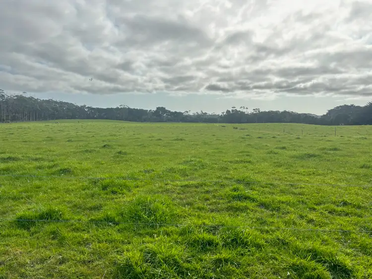 Second view of Homely rural property listing, 678 Pegarah Road, Pegarah TAS 7256