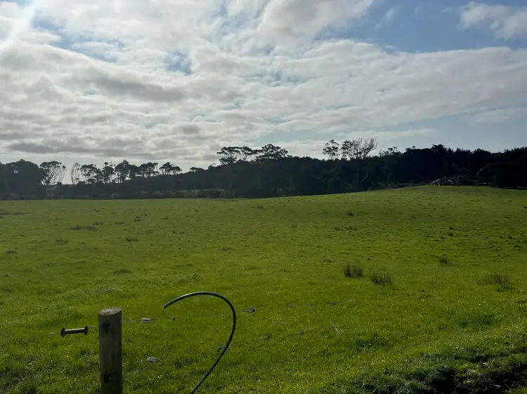 Fourth view of Homely rural property listing, 678 Pegarah Road, Pegarah TAS 7256