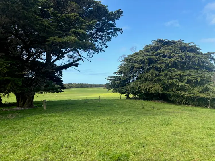 Fifth view of Homely rural property listing, 678 Pegarah Road, Pegarah TAS 7256