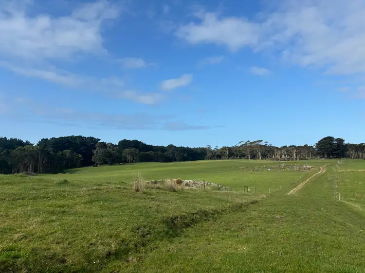 Sixth view of Homely rural property listing, 678 Pegarah Road, Pegarah TAS 7256