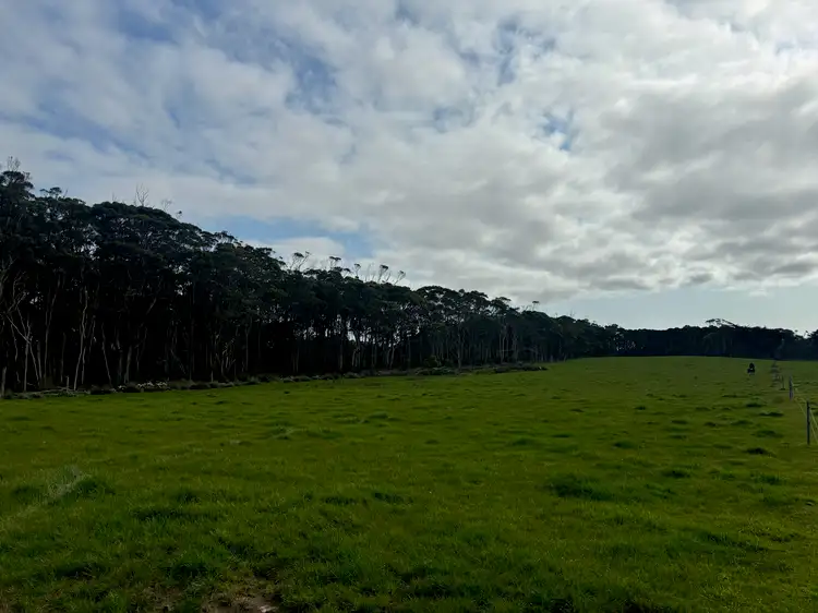 Seventh view of Homely rural property listing, 678 Pegarah Road, Pegarah TAS 7256