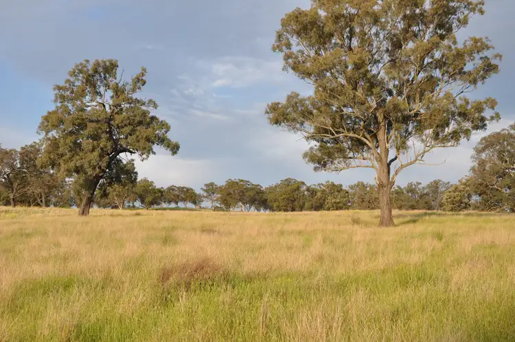 51 Queen St, Bunnan NSW 2337