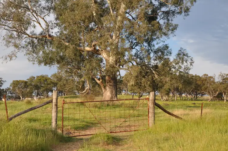 Second view of Homely rural property listing, 51 Queen St, Bunnan NSW 2337
