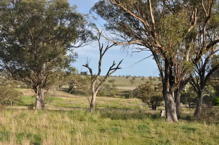 Fifth view of Homely rural property listing, 51 Queen St, Bunnan NSW 2337