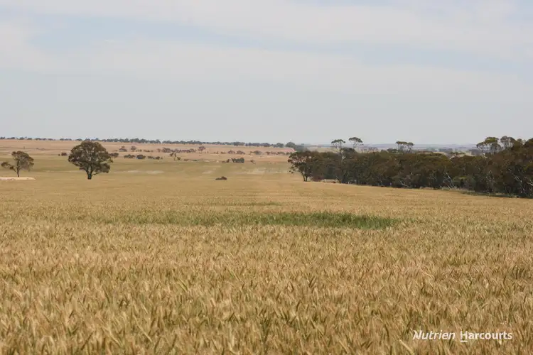Main view of Homely rural property listing, . Cnr Nembudding South Road & Hammond Road, Korrelocking WA 6485