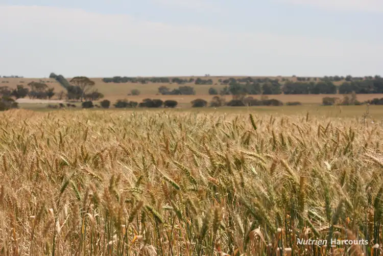 Second view of Homely rural property listing, . Cnr Nembudding South Road & Hammond Road, Korrelocking WA 6485