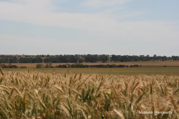 Third view of Homely rural property listing, . Cnr Nembudding South Road & Hammond Road, Korrelocking WA 6485