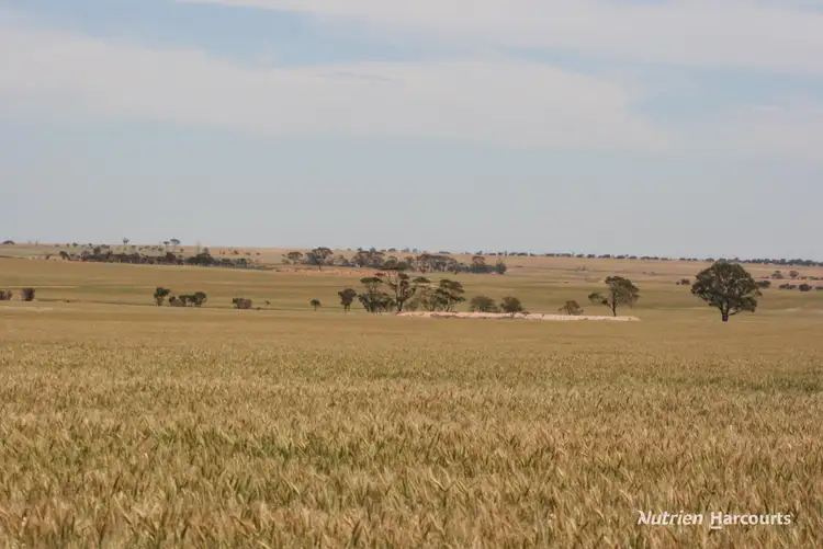 Fourth view of Homely rural property listing, . Cnr Nembudding South Road & Hammond Road, Korrelocking WA 6485