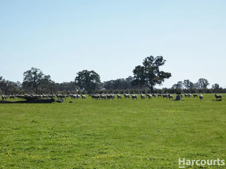 Main view of Homely rural property listing, . Red Rock Road, Glenisla VIC 3314