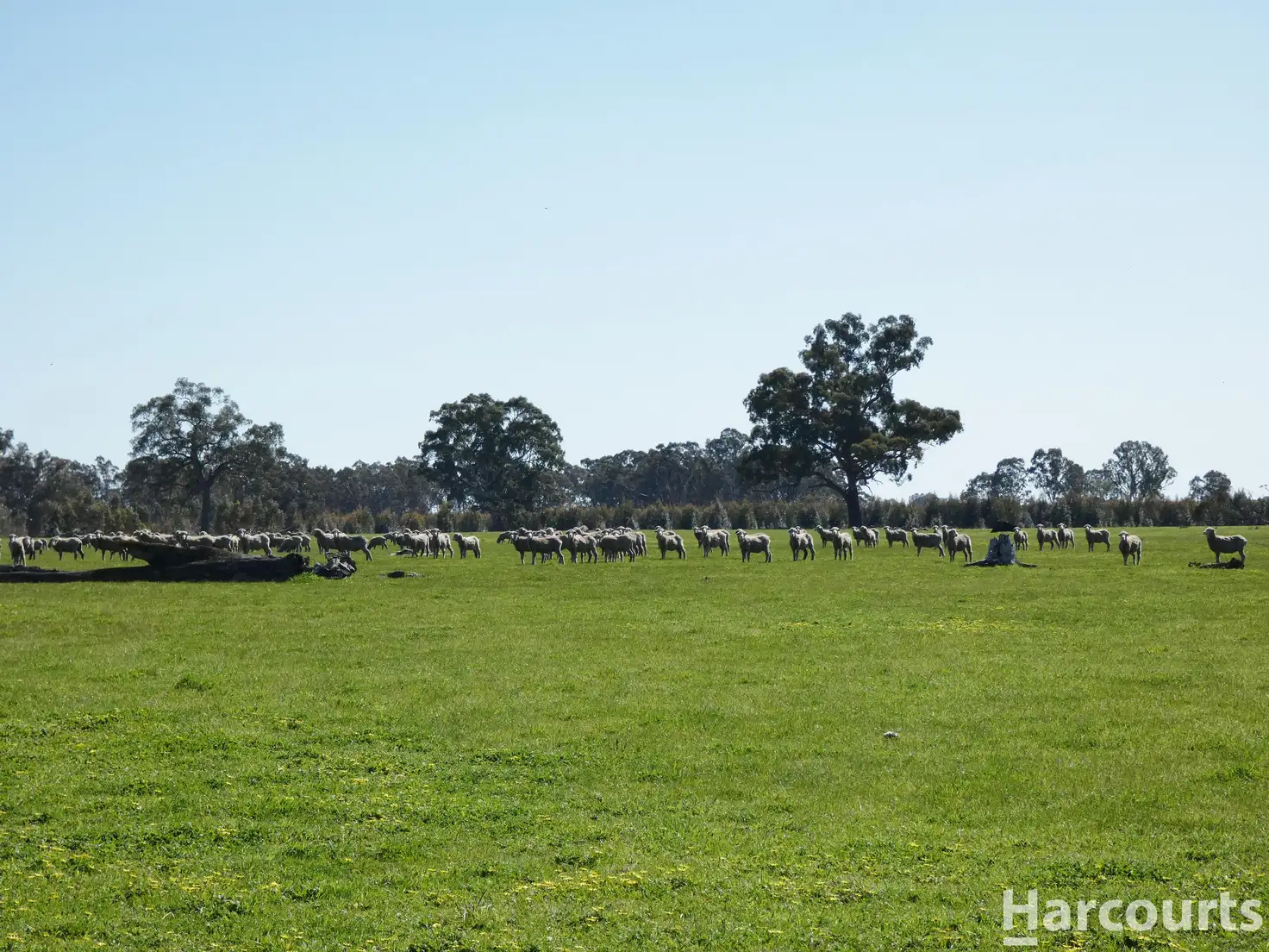 Main view of Homely rural property listing, . Red Rock Road, Glenisla VIC 3314