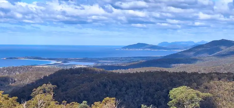 34 Mount Elephant Road, Gray TAS 7215