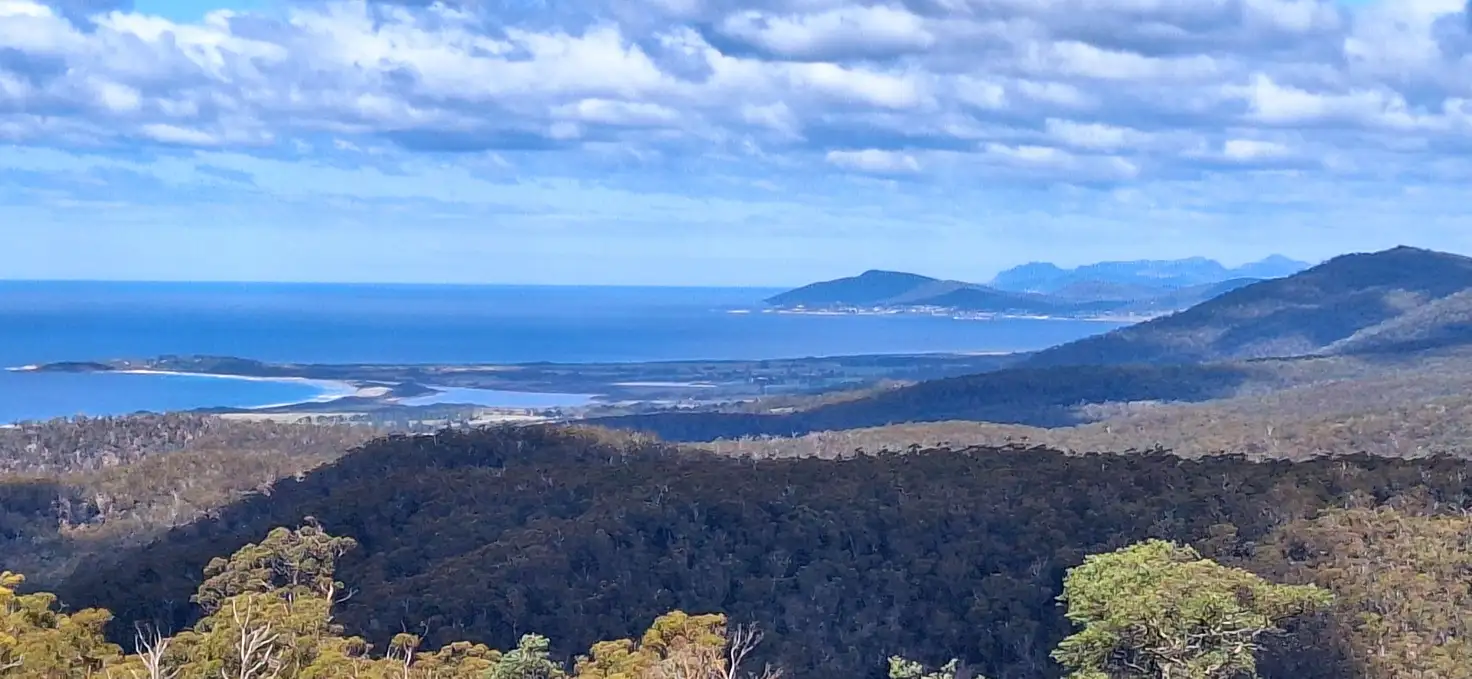 Main view of Homely rural property listing, 34 Mount Elephant Road, Gray TAS 7215