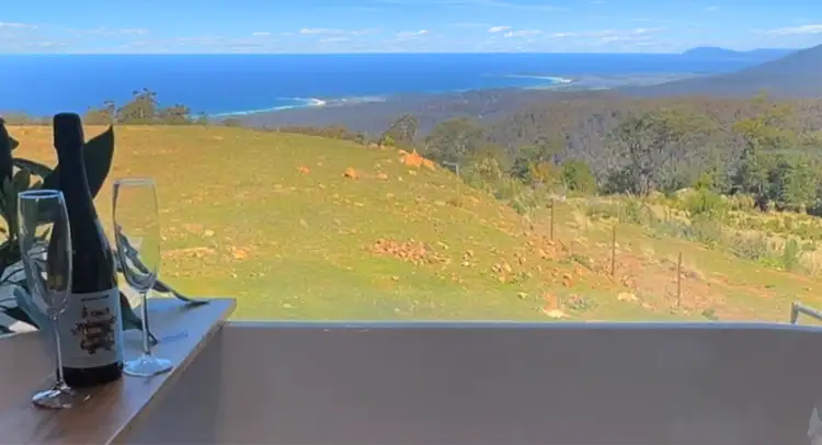 Fourth view of Homely rural property listing, 34 Mount Elephant Road, Gray TAS 7215