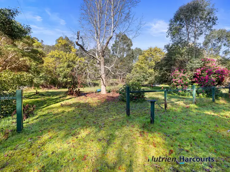 Main view of Homely land listing, 81 Silver Creek Road, Flowerdale VIC 3717