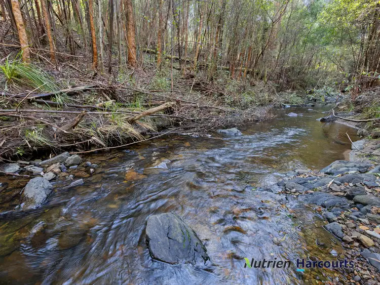 Fifth view of Homely land listing, 81 Silver Creek Road, Flowerdale VIC 3717