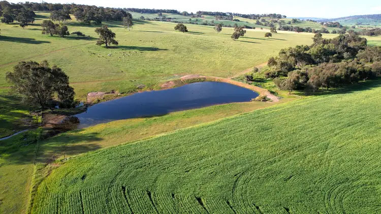 Main view of Homely rural property listing, 466 Crest Hill Road, Mooliabeenee WA 6504