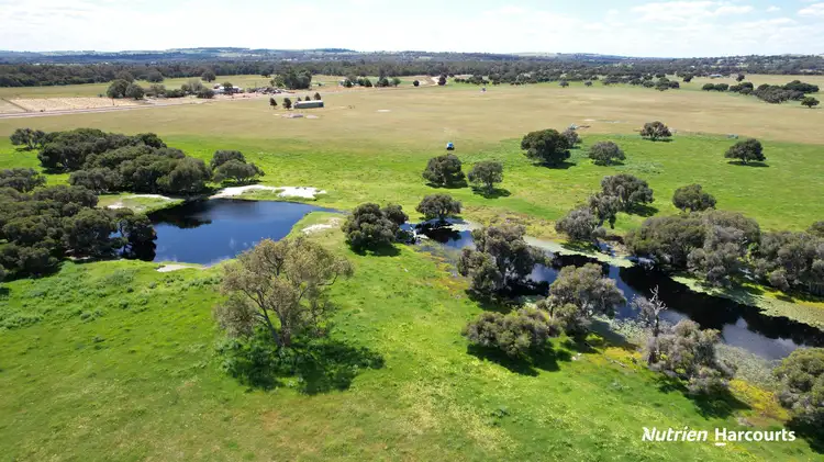 Fifth view of Homely rural property listing, 139 Coonabidgee Road, Coonabidgee WA 6503