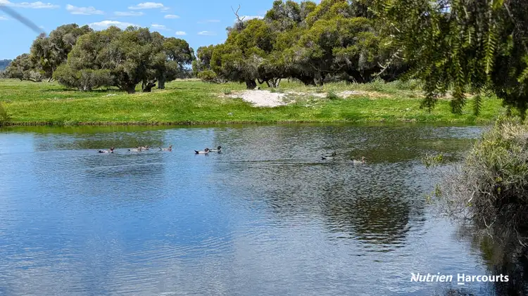 Sixth view of Homely rural property listing, 139 Coonabidgee Road, Coonabidgee WA 6503