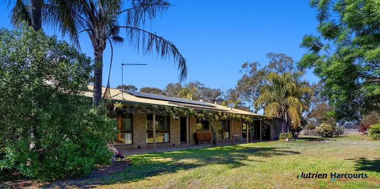 Fourth view of Homely rural property listing, 411 Walshs Road, Miepoll VIC 3666