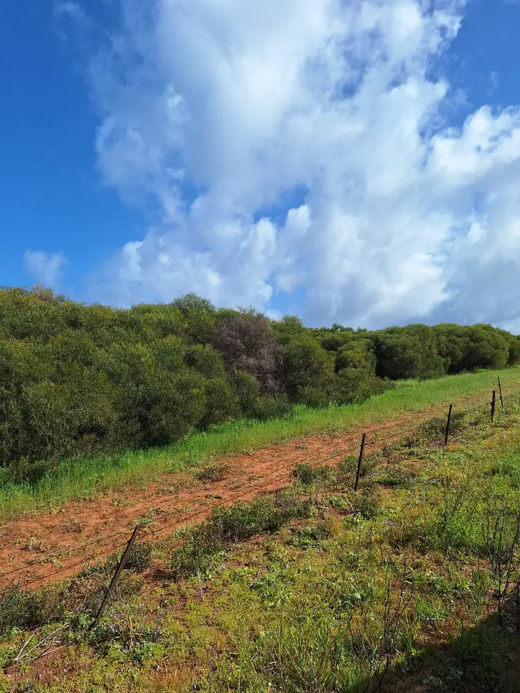Third view of Homely rural property listing, Lot 100 Brand Highway, Bookara WA 6525