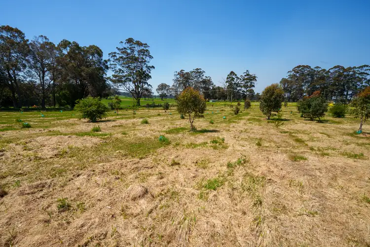Sixth view of Homely land listing, LOT 118, 282 Golf Links Road, Pemberton WA 6260