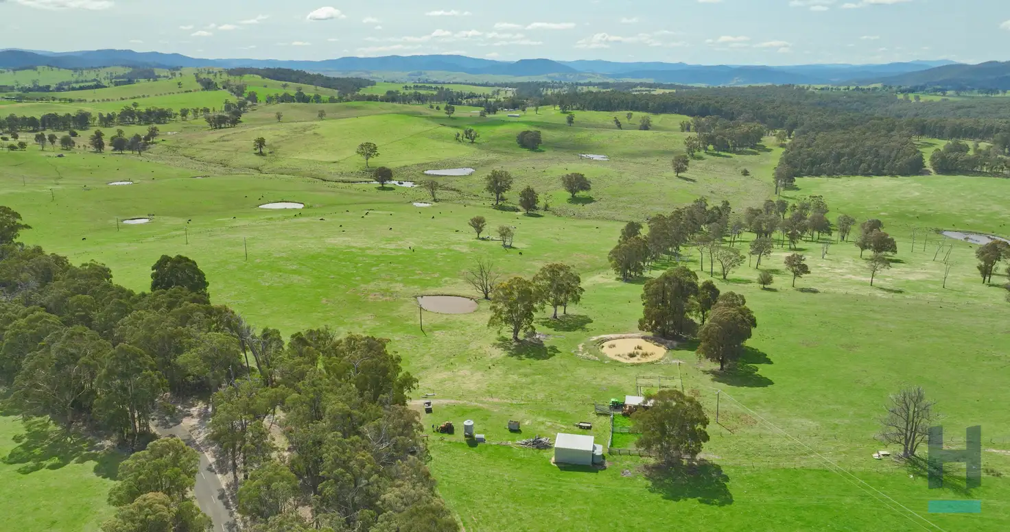 Main view of Homely rural property listing, 320 Buchan South Buchan South, Buchan South VIC 3885