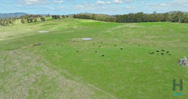 Second view of Homely rural property listing, 320 Buchan South Buchan South, Buchan South VIC 3885