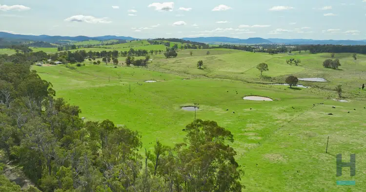 Seventh view of Homely rural property listing, 320 Buchan South Buchan South, Buchan South VIC 3885