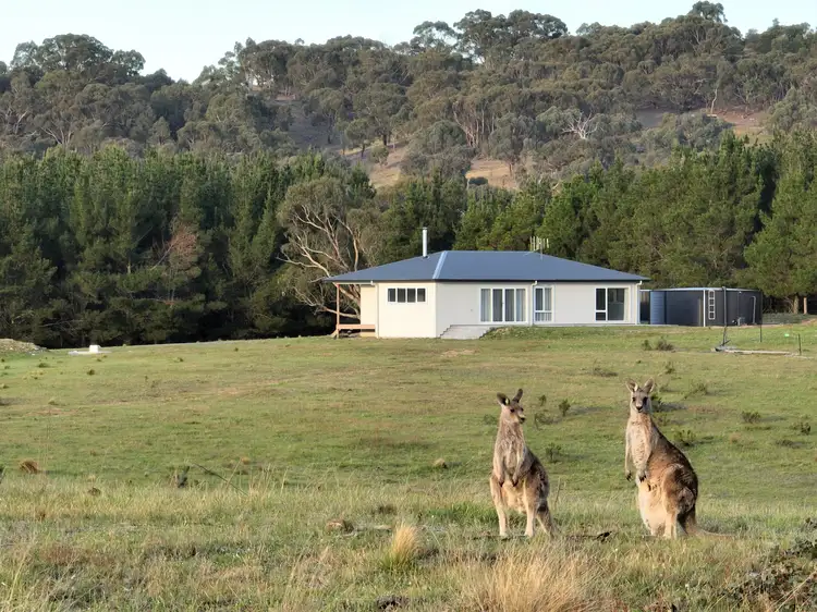 Main view of Homely rural property listing, Lot 155/206 Berrebangelo Lane, Bellmount Forest NSW 2581
