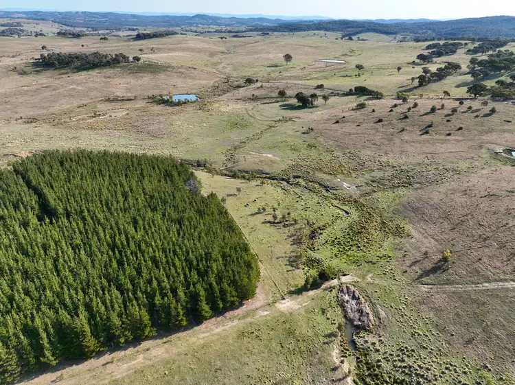 Fourth view of Homely rural property listing, Lot 155/206 Berrebangelo Lane, Bellmount Forest NSW 2581