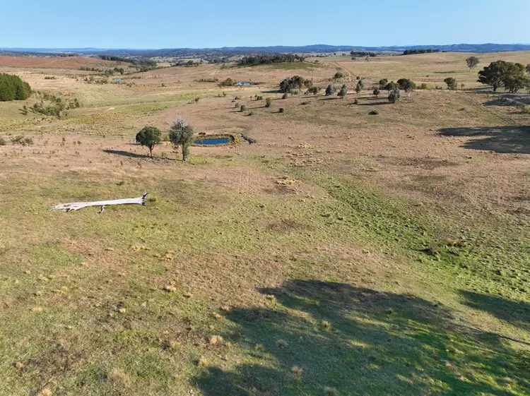 Sixth view of Homely rural property listing, Lot 155/206 Berrebangelo Lane, Bellmount Forest NSW 2581