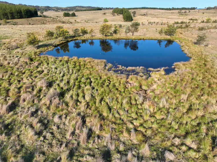 Seventh view of Homely rural property listing, Lot 155/206 Berrebangelo Lane, Bellmount Forest NSW 2581