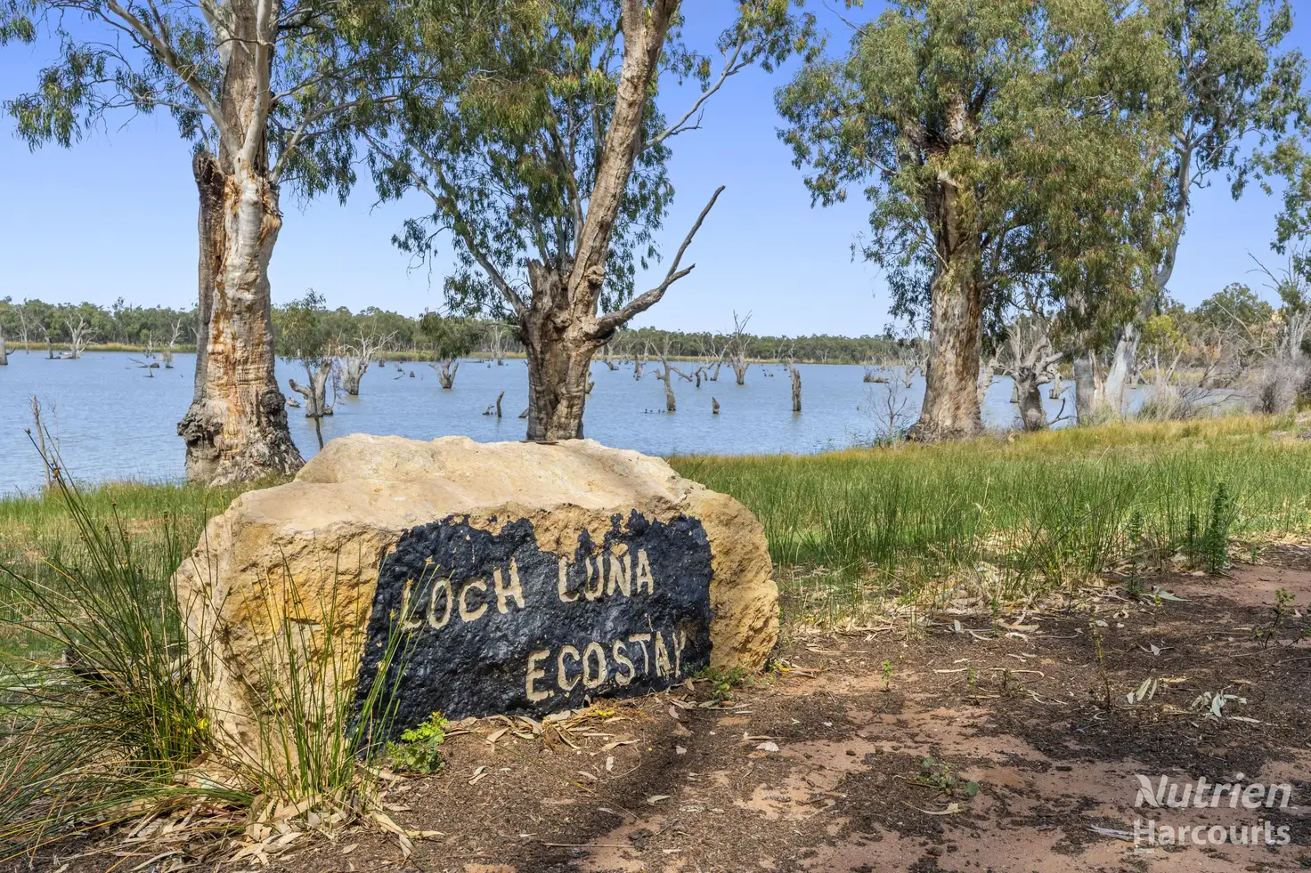 Main view of Homely rural property listing, 15748 & 15750 Goyder Highway, Overland Corner SA 5330