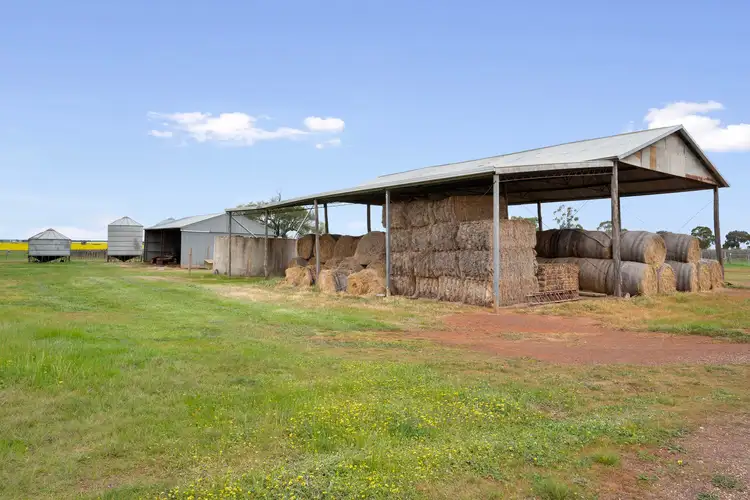 Fourth view of Homely rural property listing, 160 Bald Hill Road, Carisbrook VIC 3464