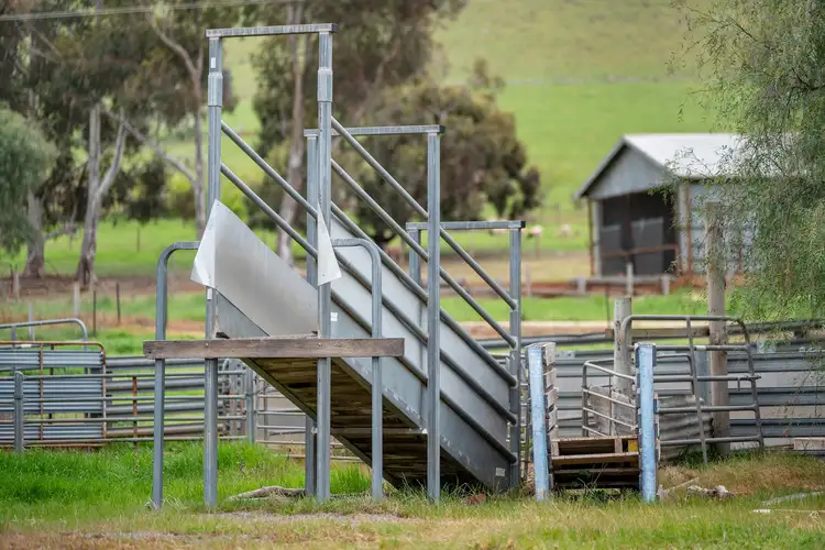 Fifth view of Homely rural property listing, 160 Bald Hill Road, Carisbrook VIC 3464