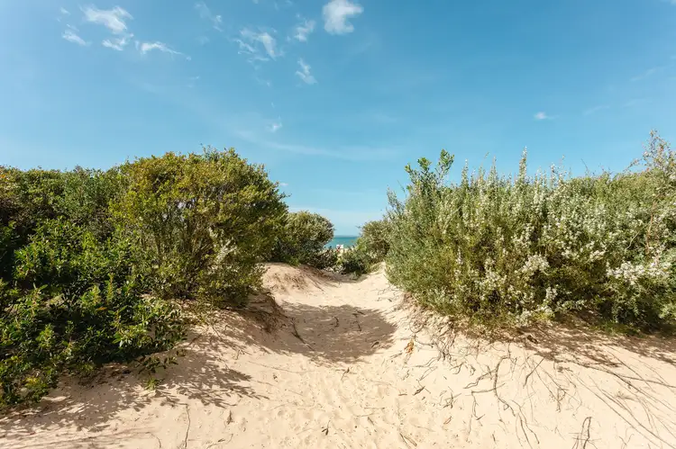 Fifth view of Homely house listing, 2 Foreshore Road, Balnarring Beach VIC 3926