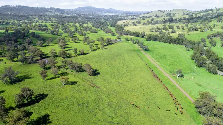 'Kruivale' Alyndale Road, Merriwa NSW 2329