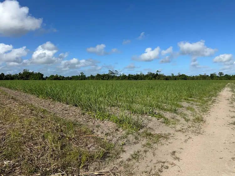 Second view of Homely rural property listing, Lot 2 Bruce Highway, El Arish QLD 4855