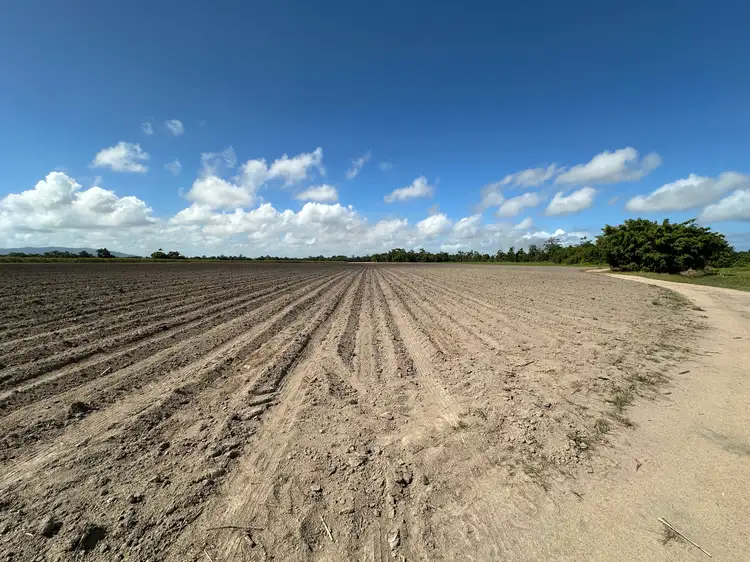 Third view of Homely rural property listing, Lot 2 Bruce Highway, El Arish QLD 4855