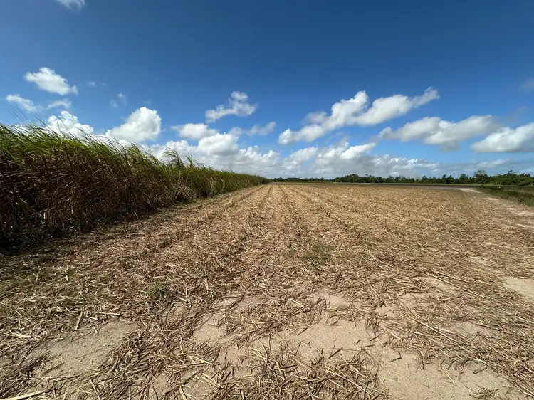 Sixth view of Homely rural property listing, Lot 2 Bruce Highway, El Arish QLD 4855