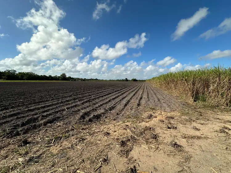 Seventh view of Homely rural property listing, Lot 2 Bruce Highway, El Arish QLD 4855