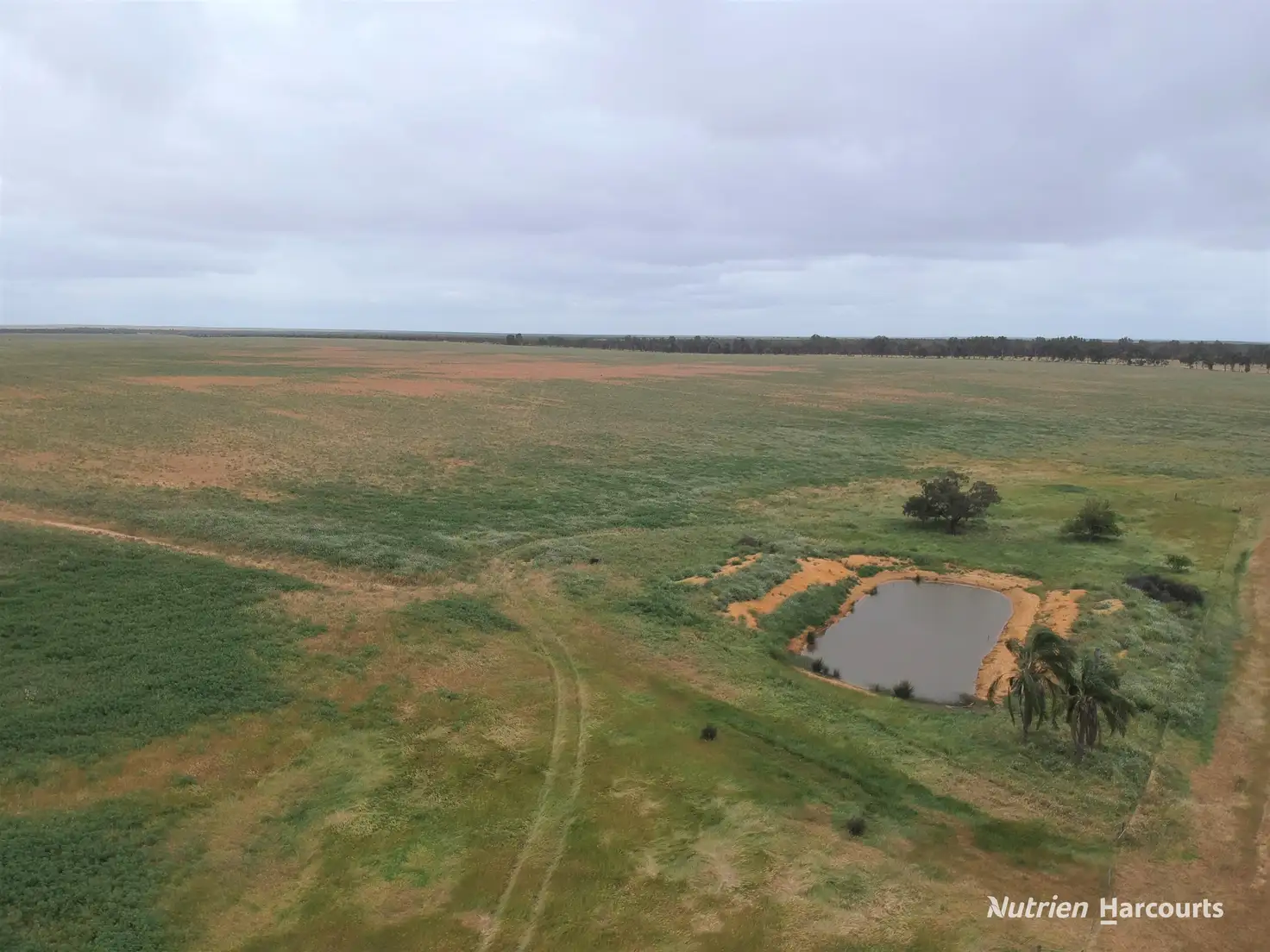 Main view of Homely rural property listing, 101 West Binnu Road, West Binnu WA 6532