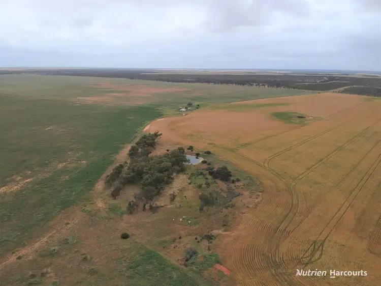 Second view of Homely rural property listing, 101 West Binnu Road, West Binnu WA 6532