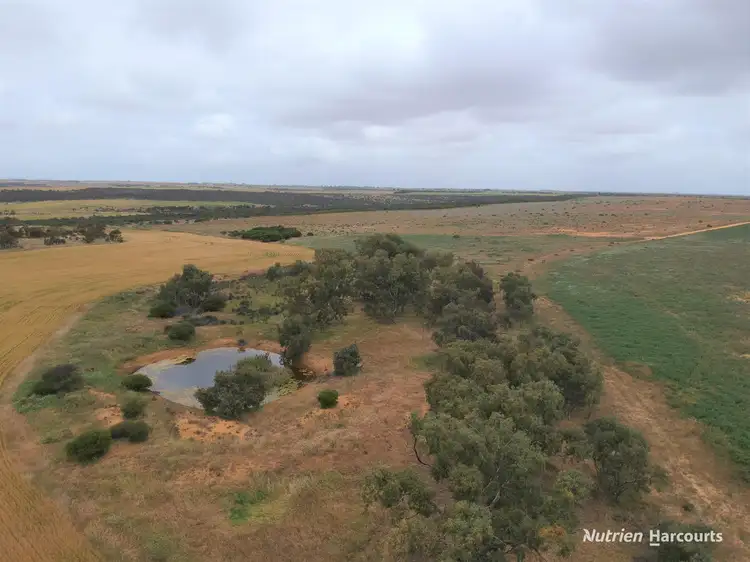 Third view of Homely rural property listing, 101 West Binnu Road, West Binnu WA 6532