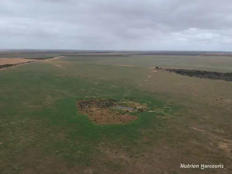 Fourth view of Homely rural property listing, 101 West Binnu Road, West Binnu WA 6532