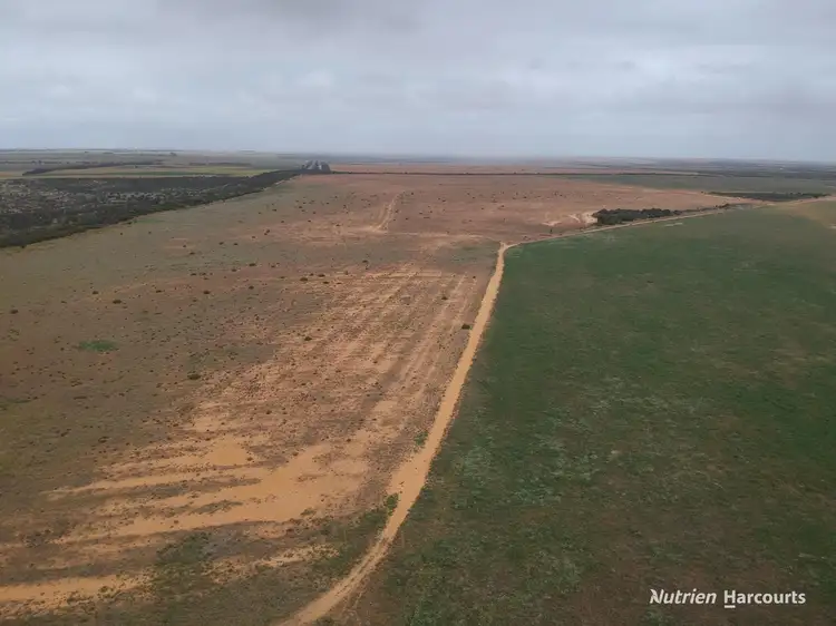 Fifth view of Homely rural property listing, 101 West Binnu Road, West Binnu WA 6532