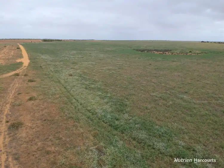 Sixth view of Homely rural property listing, 101 West Binnu Road, West Binnu WA 6532