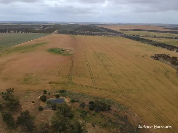 Seventh view of Homely rural property listing, 101 West Binnu Road, West Binnu WA 6532